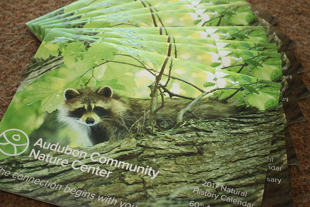 The Audubon Community Nature Center is celebrating its 60th anniversary with a natural history calendar that features stories of how wildlife has changed in the last 60 years as well as photos of staff, volunteers and visitors from the past.