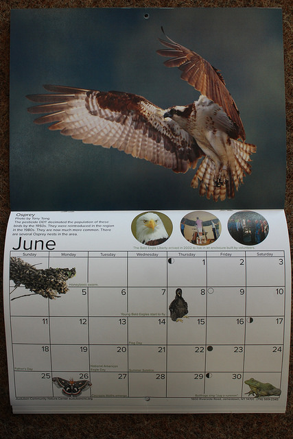 Each page of the natural history calendar has dates of natural happenings, holidays and other information about the world.