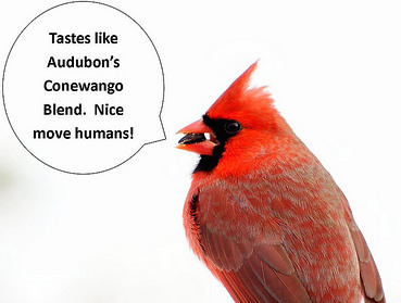Monday, October 3, is Audubon Birdseed Order Deadline