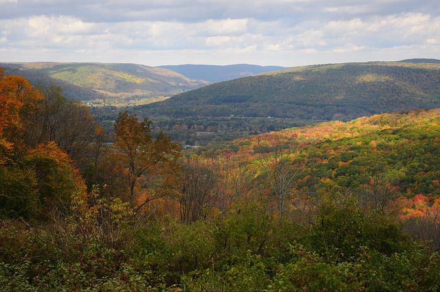 A View of Fall by Jeff Tome