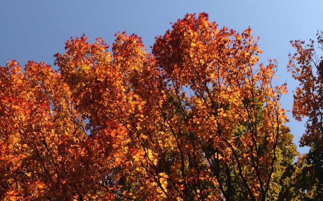 A Note… by Sarah Hatfield
