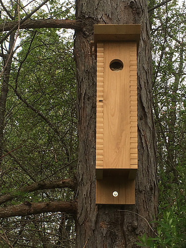 Audubon’s First Friday, March 3: Can Dumpster Discards Help Animals?