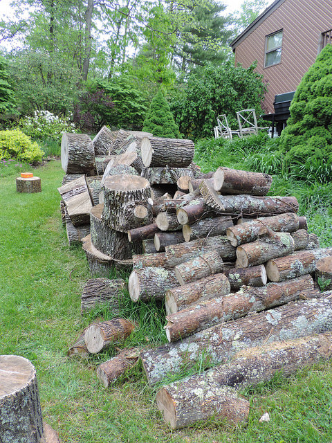 Firewood Friendships