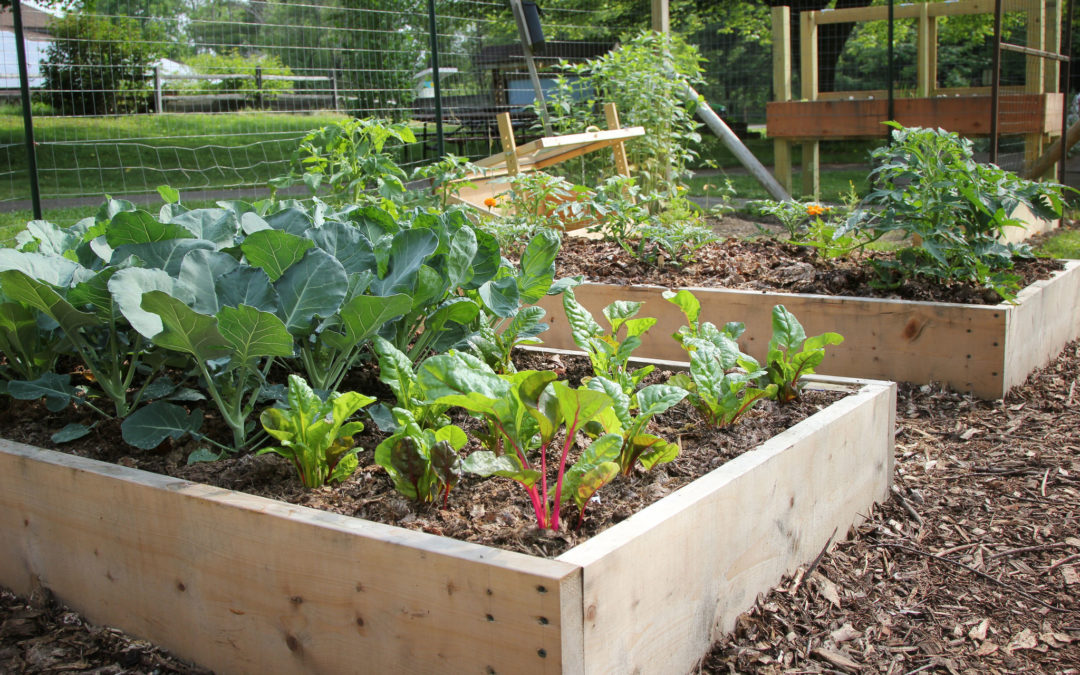 I Love Gardens by Jennifer Schlick