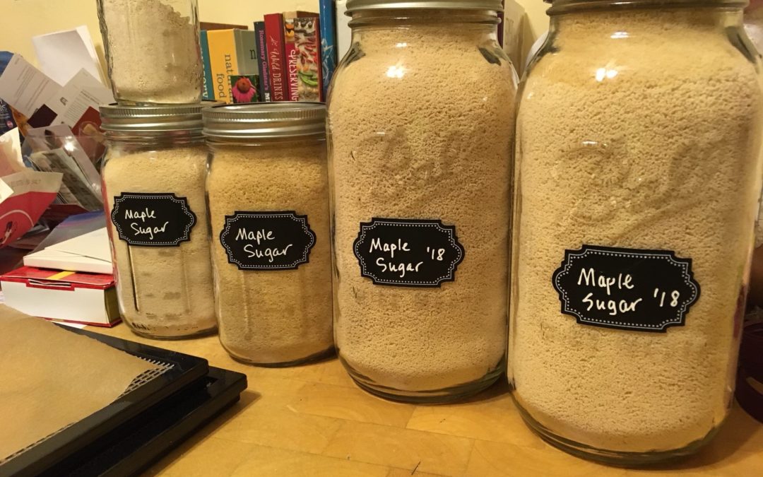 Maple Sugar by Sarah Hatfield