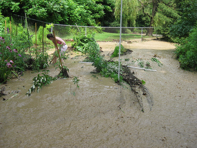 Flooding by Sarah Hatfield