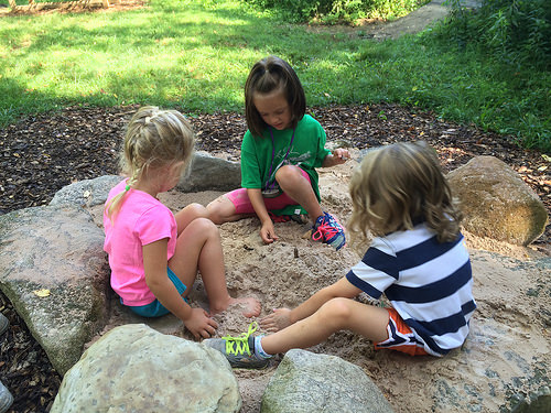 Audubon Receives Grant from Ralph C. Wilson, Jr. Legacy Funds at Community Foundation for Greater Buffalo