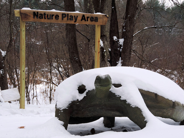 New Attraction at Audubon Nature Play Day on Saturday Morning, December 15