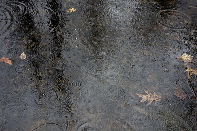 Ripple Effect by Sarah Hatfield