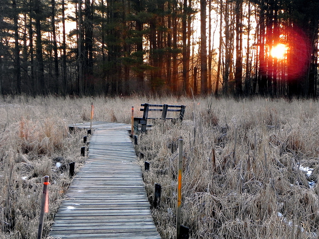 Into the Gloaming by Jeff Tome