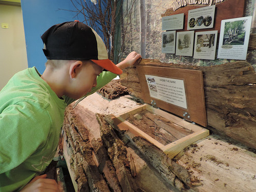 Visit Audubon for Doors Open Jamestown, Saturday, January  19, 2019