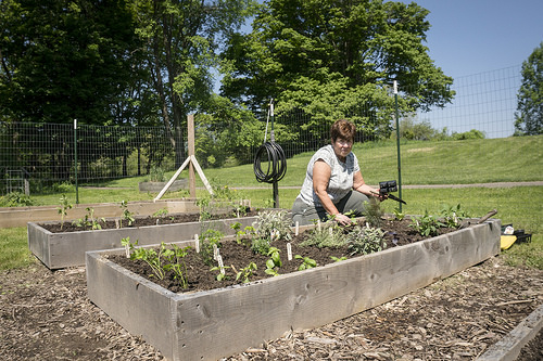 Learn About Volunteering  at Audubon, Saturday, March 16
