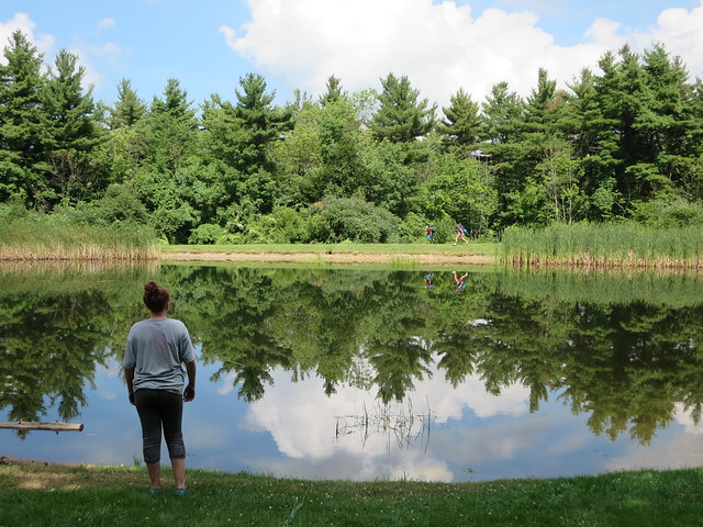 A Case for Parks by Katie Finch
