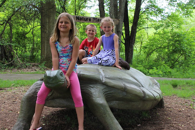 Time to Vote on Audubon Turtle’s Name