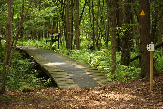 A Faster Look at the Trails by Jeff Tome