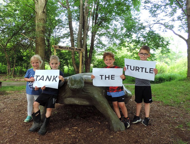 Audubon’s Giant Turtle Has a Name