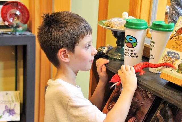 Audubon Having First-Ever Gift Shop Clearance