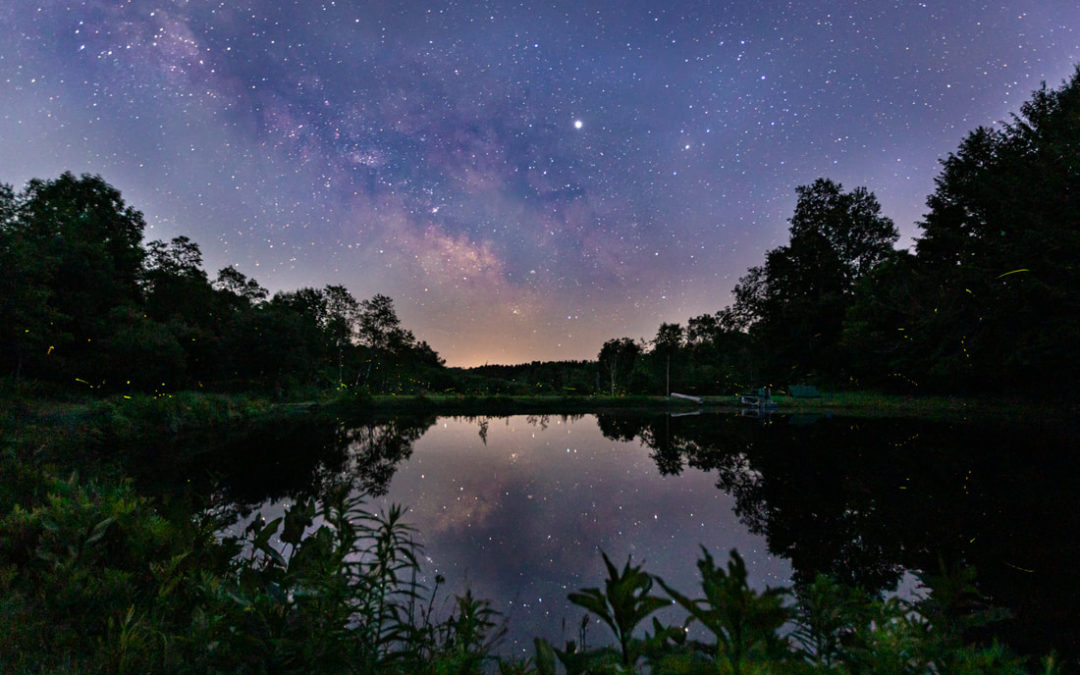 Reception for Audubon Photo Contest  Exhibit Thursday, August 15