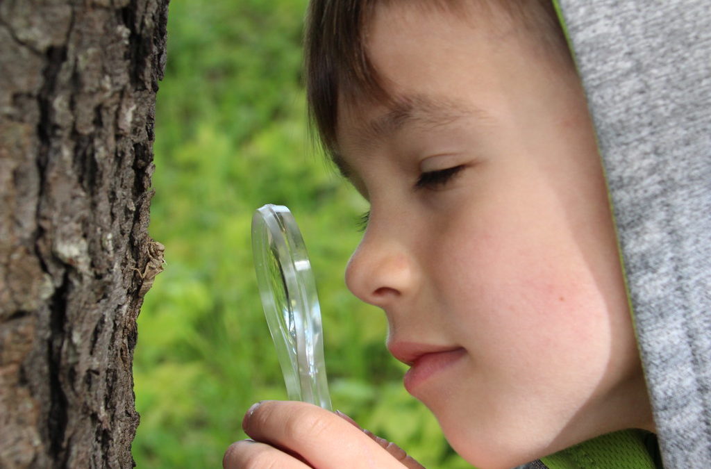 Match Your Audubon Gift on Giving Tuesday, December 3