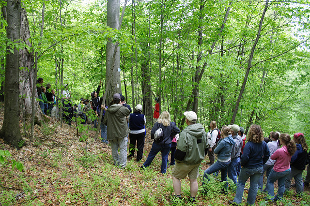 Allegany Nature Pilgrimage Goes Virtual This Weekend
