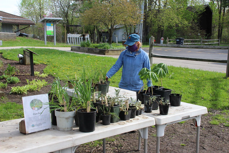 Audubon Plant Exchange and Sale Through Monday, June 1
