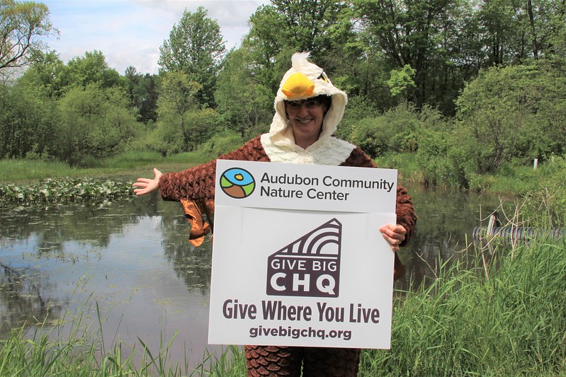 Remember Audubon During Give Big CHQ, June 1 to June 11