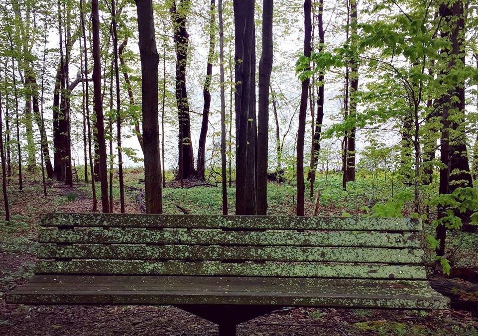Life is all About You and Not at All About You by Emily Rechin