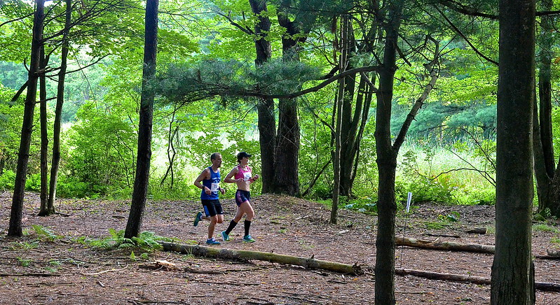 Racing into Nature by Jeff Tome