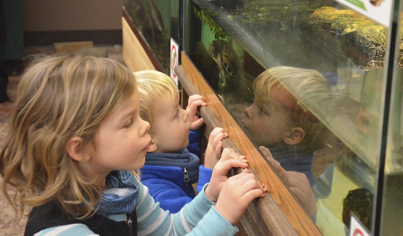 Nature Center Partial Reopening to Daily Visitors – Starting Saturday, September 5