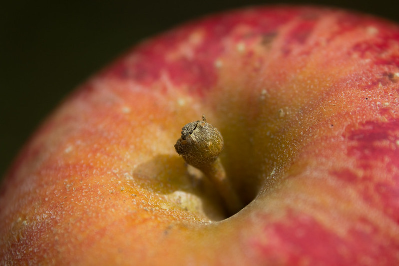 Learn to Test for Apple Ripeness at Audubon, Tuesday, September 22