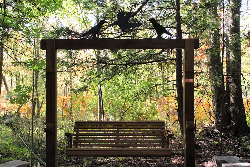 Accomplishments Celebrated at Audubon Virtual Annual Meeting