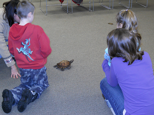 Celebrate Christmas with the Critters Wednesday, December 30