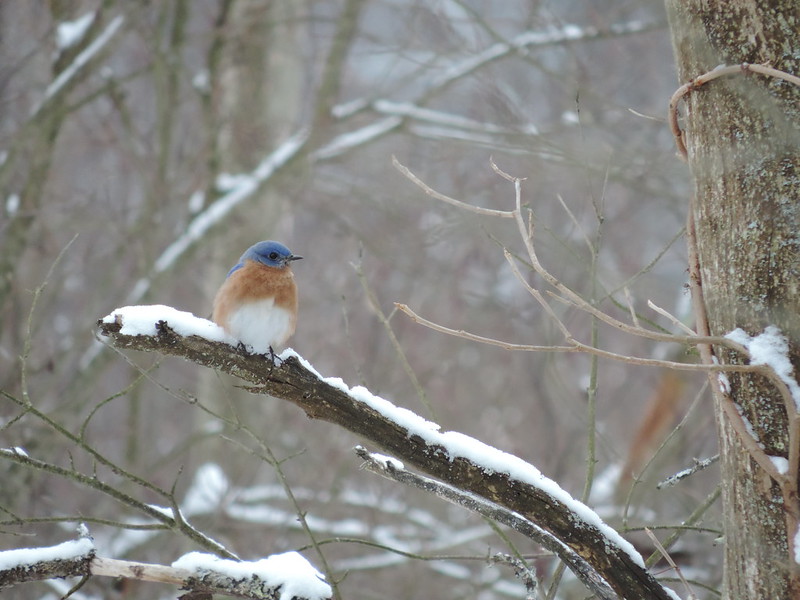Unexpected Sightings by Chelsea Jandreau