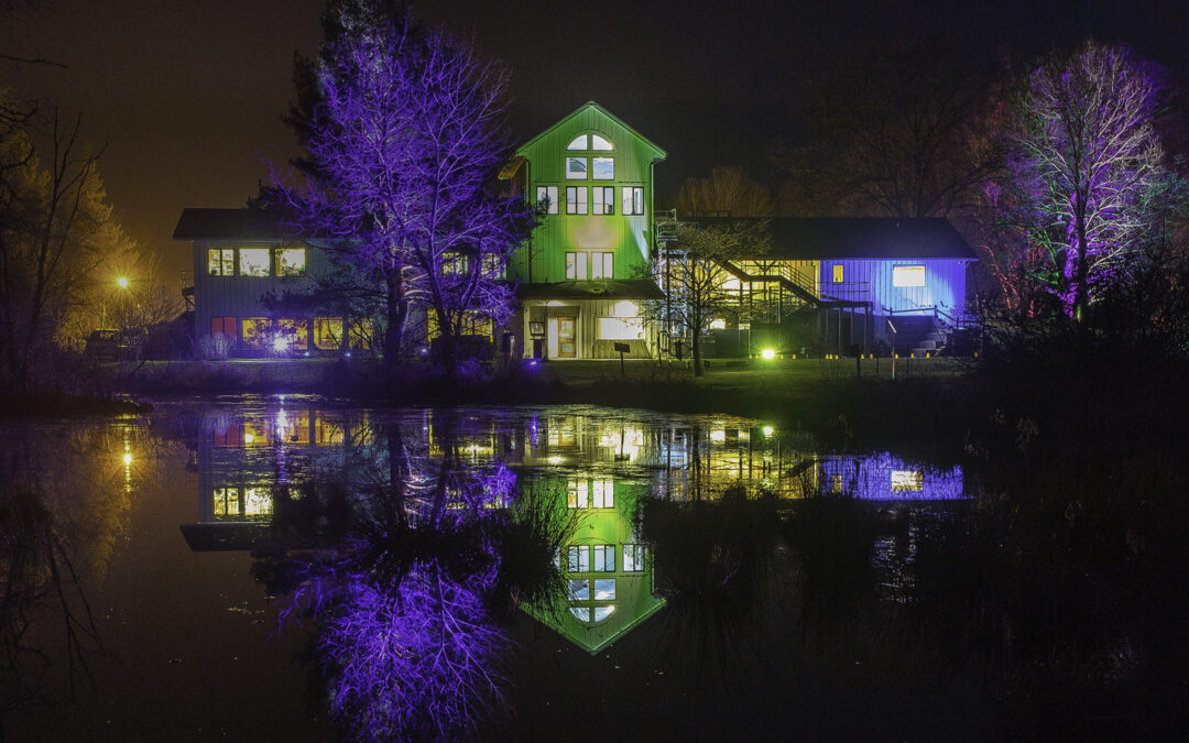 Audubon Lights Pop-up Thursday, April 6
