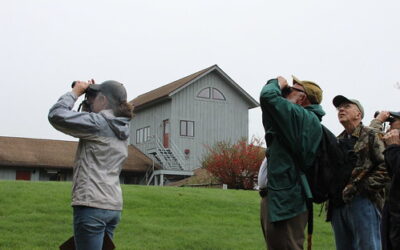 Early Morning Bird Walks at Audubon First Week in May