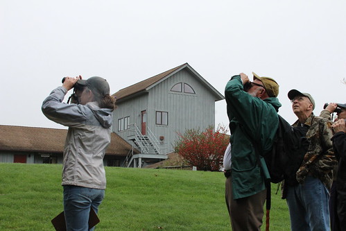 Early Morning Bird Walks at Audubon First Week in May