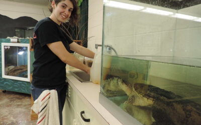 Learn About Being an Audubon Animal Care Volunteer, Thursday, June 17