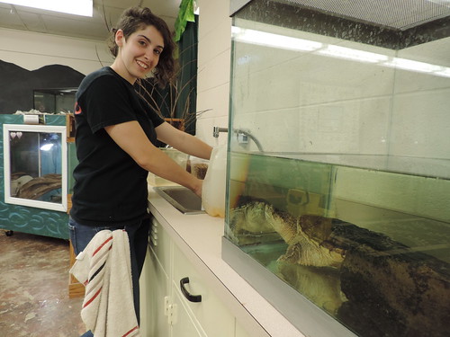 Learn About Being an Audubon Animal Care Volunteer, Thursday, June 17