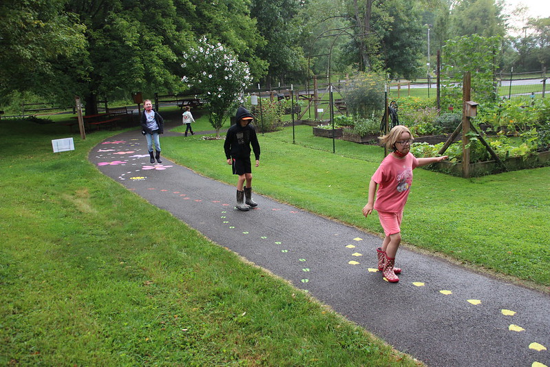 Audubon Completes United Arts Appeal-Supported Project