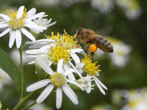 September Perfection by Sarah Hatfield