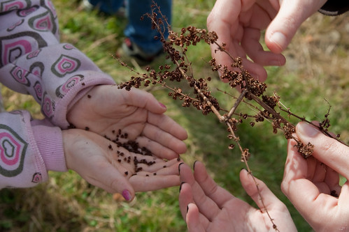 Audubon Little Explorers Learn About Seeds and More, Saturday, September 11