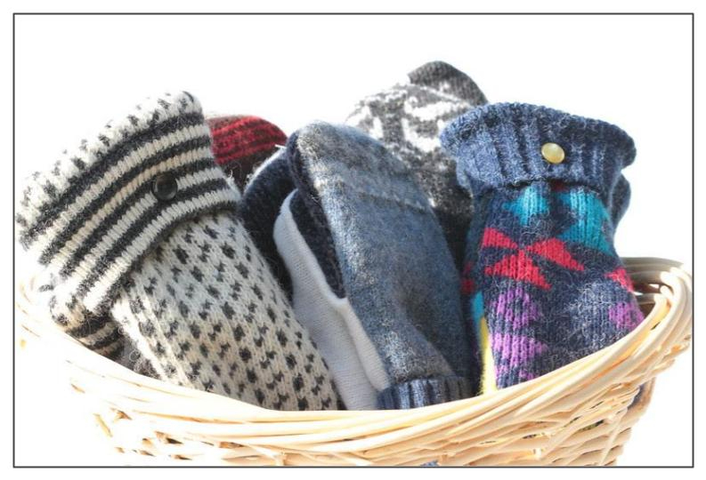 Audubon Seeking Wool Sweaters to Upcycle
