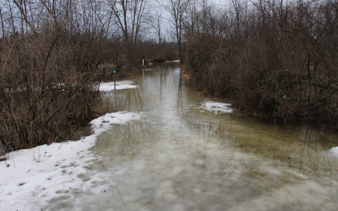 The Joy of Floods