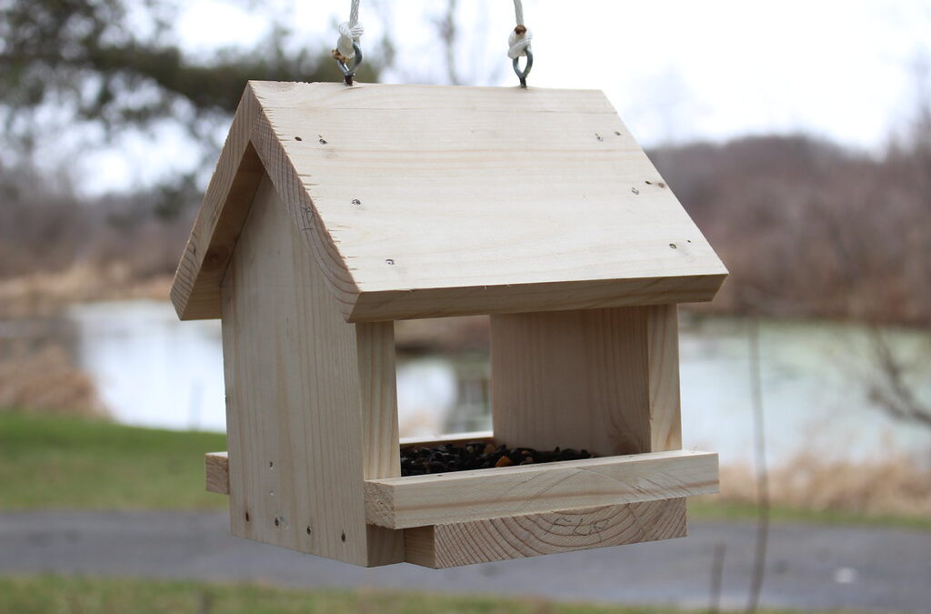 Area Conservation Organizations Respond to Avian Flu Spread