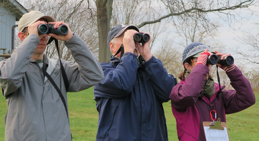 Birding for a Better World