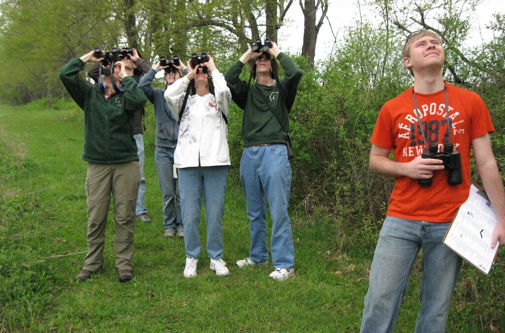 Birding Dangerously