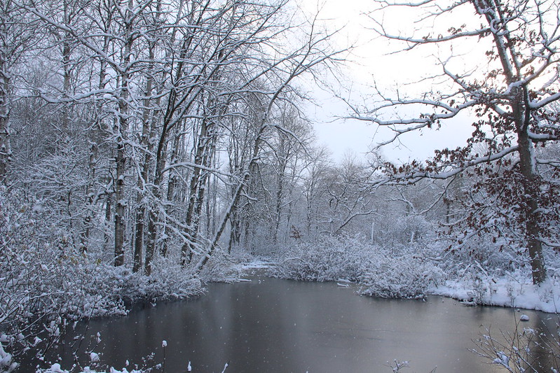 Winter’s Peace