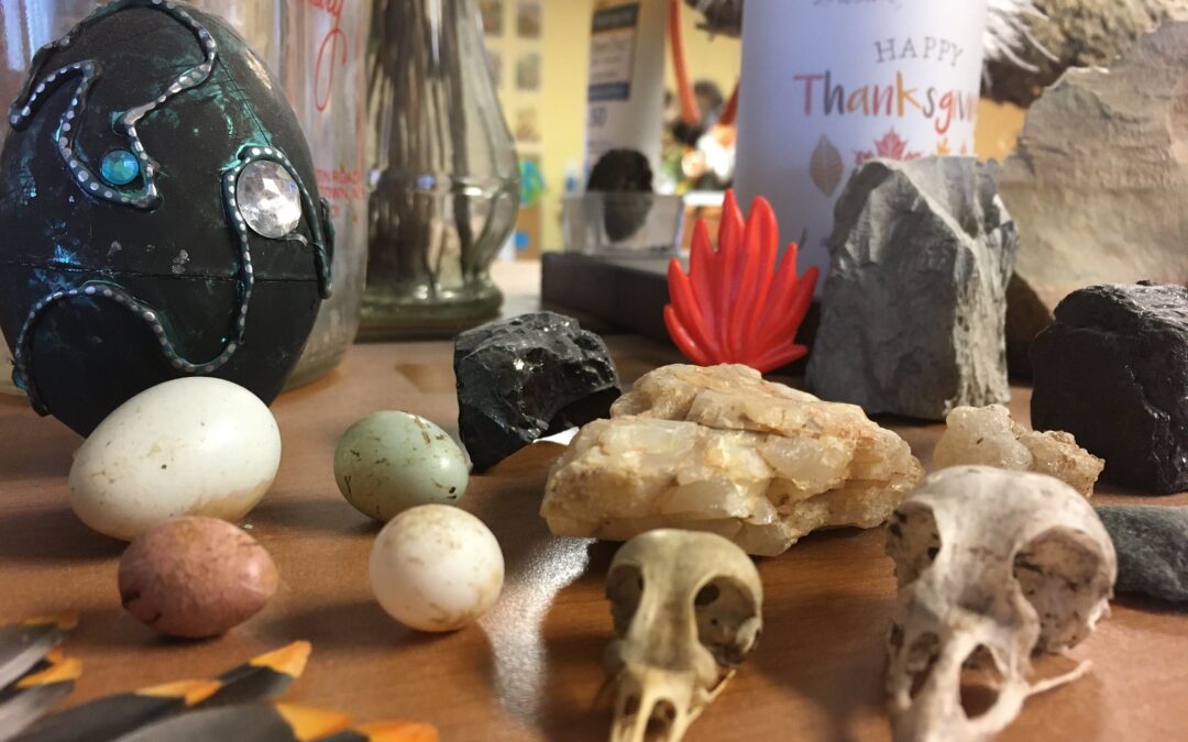 My Office Nature Collection