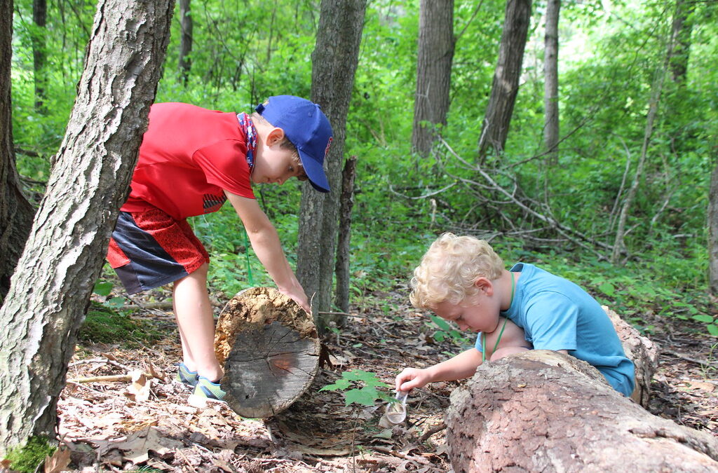 Making Nature Memories