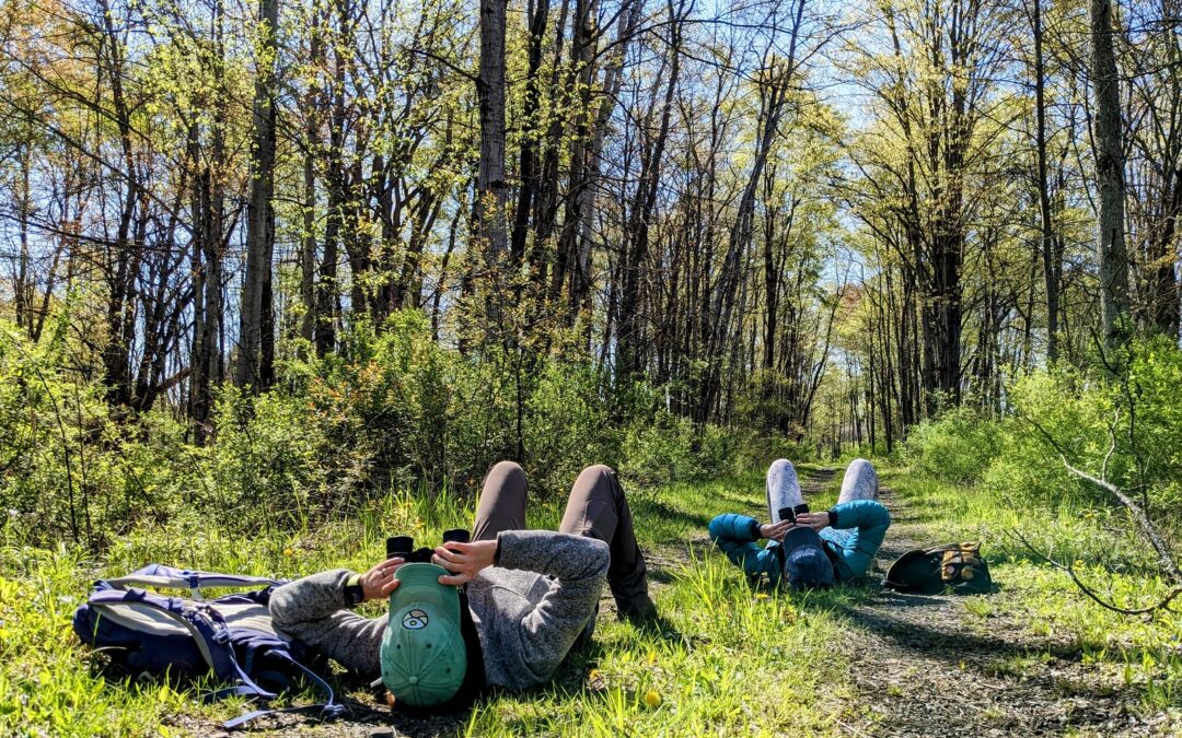 Nature Apps